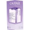 CAUDALIE ITALIA Srl VINOTHERAPIST DUO MANI&LABRA 2022 CREMA 30 ML + STICK 4,5 G
