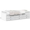Hoodmeel Letto Singolo con Contenitore, Divano Letto 2 Posti, Divano Letto con Cassetti, Struttura Letto con Contenitore in Legno Multistrato Bianco 75x190 cm