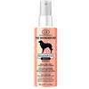 Lr Wonder Company Lr Company Wonder Pet Shampoo Secco Animali 100ml
