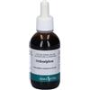 Orthosiphon Erba Vita Erba Vita Orthosiphon Tintura Idroalcolica 50 ml Soluzione orale