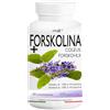Lineadiet FORSKOLINA+ (60 compresse)Lineadiet