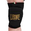 LEONE GINOCCHIERE Protezioni