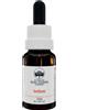 Green Remedies Australian Bush Flower Essences SEDUM