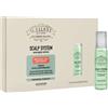 ALFAPARF MILANO Il Salone Scalp System Energize lotion Vials 6x13ml
