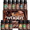 SALKING Oli Essenziali Woody per Diffusori 12x10ml - Frankincense, Teak, Sandalo, Cipresso, Cedro, Patchouli, Cuoio, Bambù, Pino, Sequoia, Cannella, Abete Rosso Nero