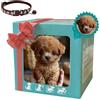 Qosneoun Nicco-My Realistic Robot Puppy, 2025 Nuovo cane robot AI, Nicco Robots Dog, agisce come un vero cane, robot interattivi di peluche cani per adulti, camminare, abbaiare, scodinzolare la coda