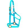 Weaver Equine Weaver Leather Cavezza per cavallo in nylon, non regolabile, grande, blu uragano