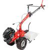 Eurosystems P70 EVO - Motocoltivatore a scoppio - Rato RV200