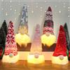 O-Kinee 5 Pezzi Gnomi Natalizi Luminosi, Gnomo Natalizio, Gnomi Natalizi Piccoli, Gnomo Natale con LED, Nano Natalizio, Decorazioni Natalizie per La Casa, Pensierini Natalizi