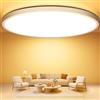 Swoieltr Ø30CM Plafoniera Soffitto, 3000K 24W Ultra-Sottile Rotonda Lampadari LED 2400LM Lampada da Soffitto Ultra-Sottile IP44 Impermeabile Plafoniere Cucina per Soggiorno, Corridoio, Bagno, Cantina