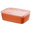 Rotho Eco Lattina a Microonde con Coperchio, Plastica (PP) senza BPA, Rosso/Trasparente, 3.7 L, 29.5 x 20.0 x 9.2 cm