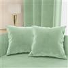 PETTI Artigiani Italiani - Cuscini Arredo in Velluto, Cuscino per Camera da Letto, Divano Salotto, Federa Cuscino, Salvia 2 Pezzi - 80x80 cm