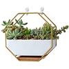 VanEnjoy Vaso da parete in ceramica bianca da 17,8 cm e rame, foro di drenaggio con vassoio in bambù, per piante grasse, mini cactus, fiori artificiali, da appendere, geometrica, esagonale