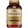 SOLGAR ITALIA LIPO COLINA 100 Cps 100mgSOLGA