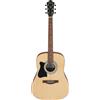 Ibanez V50LNJP Open Pore Natural JamPack Mancina