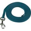 Coachi Puppy & Mini Guinzaglio da Interno 2.5m