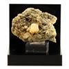 A Bijoux Chabazite. 140,9 Ct. Miage Glacier, Massiccio Del Monte Bianco, Italia. Raro.