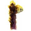 A Bijoux Fluorite Stalattite. 540,0 Ct. Miniera Di Weishan, Shandong, Cina.