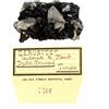 A Bijoux Cerusite. 187,0 Ct. Djebel Touireuf, Tunisia.