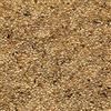 Il Contadino - Antichi Becchimi | MISCUGLIO per ESOTICI | Formula ricca di semi Selezionati adatta per tutto l'anno, No OGM, 100% Vegetale, Assenza di scarti. Qualità Superiore (1 Kg)