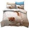 Sticker Superb Copripiumino Una Piazza e Mezza, Stampa Animali 3D Set Completo Easy Care, Set Biancheria da Letto Microfibra Zip Copripiumino e Federes (Gatto Bianco,2Pcs 135x200 cm)