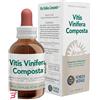 FORZA VITALE ITALIA SRL ECOSOL VITIS VINIFERA COMPOSTA GOCCE 50 ML