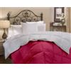 IlGruppone Piumino invernale in Piuma d'Oca 90/10 Double Face piumone caldo trapuntato trapunta 300 gr/mq Inverno - (Fuxia/Grigiochiaro, Matrimoniale)