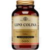 SOLGAR ITALIA Solgar Lipo Colina 100 capsule - Integratore controllo Omocisteina e Metabolismo