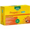ESI Srl PropolAid Flu Integratore per Raffreddore - 10 Bustine