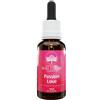 BUSH BIOTHERAPIES Pty Ltd Passion Love Australian Bush Flower Essences 30ml