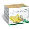 SPECCHIASOL Srl Zenzero e Limone Infuso Specchiasol 20 Bustine