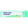 BOIRON Srl Allium Cepa Composé Boiron Granuli 4g