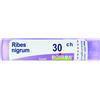 BOIRON Srl Ribes Nigrum 30CH Boiron 80 Granuli