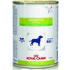 ROYAL CANIN ITALIA SpA Veterinary Diet Diabetic Special Low Carbohydrate - 410GR
