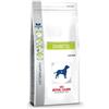 ROYAL CANIN ITALIA SpA Veterinary Diet Diabetic - 1,50KG