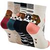 LOFIR Fantasia Calze Divertenti in Cotone da Donna Calzini Animali con Cane Gatto - Calze con Modello di Cartone Animato per Donna, Taglia 35-41, 5 paia