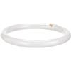 Osram Lampada Fluorescente, GR10q, 32 watts, Bianco