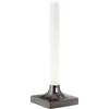 Kartell Goodnight Lampada Ricaricabile dimmerabile, Titanio opaco, H 29 cm