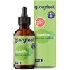 Gloryfeel Clorofilla Pura Liquida Senza Alcool, 50ml, Concentrata da Alfafa, Integratore Naturale in Gocce, Testato in Laboratorio