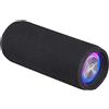 Trevi XR 8A25 Altoparlante Amplificato Portatile 14W, Cassa Bluetooth con Rispon