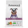 Amanova Cibo Secco Super Premium per cani anziani Gusto pesce bianco - 100% Naturale, ipoallergenico e monoproteico - Low Grain - Cruelty Free - Formato da 2 kg