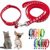 HimyBB Collare con campana rossa per cani di piccola taglia, set di guinzaglio in nylon di base riflettente, collare per cani con stampa a zampa per XXS Xs Cucciolo di gatto di piccola taglia lettiera per