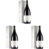 Vinchio & Vaglio Serra Barbera d'Asti superiore "3 Vescovi" Magnum astuccio litografato Docg - 1500 ML (Confezione da 3)
