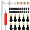 QWORK® Kit di rimozione valvole Pneumatici da 33 Pezzi per Auto Moto Bici - Include 10 steli TR413 e 10 Nuclei valvola in Rame Puro