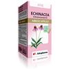 Arkopharma Integratore Alimentare Arko Capsule Echinacea, 45 Capsule Color Standard
