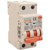 A2ZWORLD RCBO Interruttore Magnetotermico Differenziale Con Doppia Leva Tipo A Curva B 2P 2M 6000A 300mA, Diagnostica Visiva, B25A AC 230V IP20 IEC61009-1 PL8M2