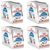 Royal Canin Indoor Sterilised in Sauce | Confezione da 4 | 4 x 12 x 85 g | Alimento completo per gatti adulti che vivono in casa | Per gatti sterilizzati | Bocconcini in salsa