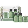 Baylis & Harding Wellness. Energise
