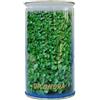 SGARAVATTI DICHONDRA REPENS 50% BARATTOLO 1 LIBRE 453 G