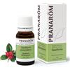 Pranarom Olio Essenziale Wintergreen Foglia 10 ml essenziale